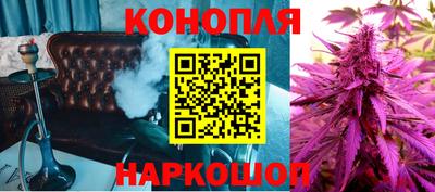 2c-b Кингисепп