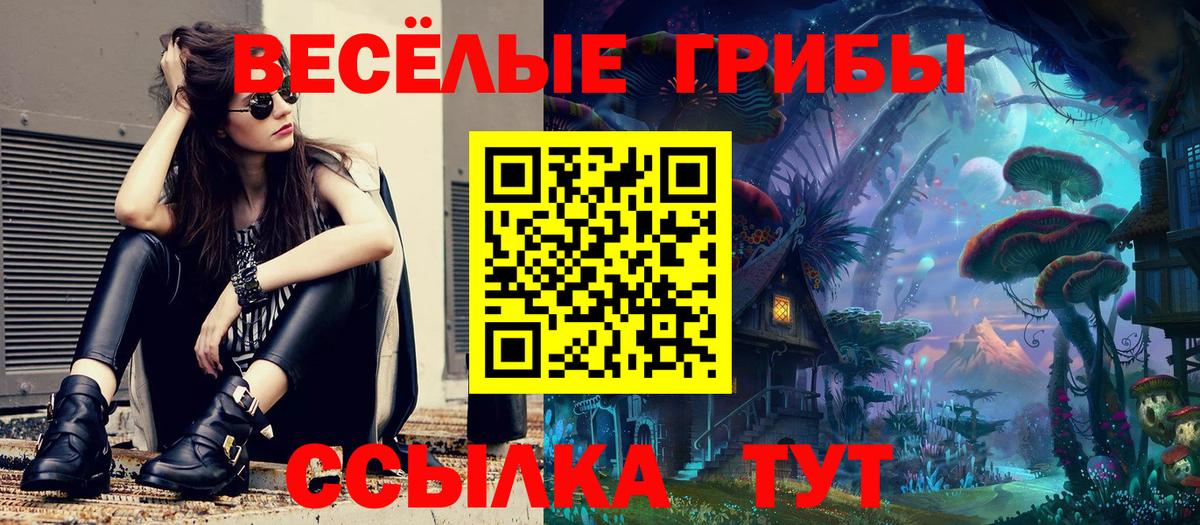 Псилоцибиновые грибы ЛСД Чапаевск