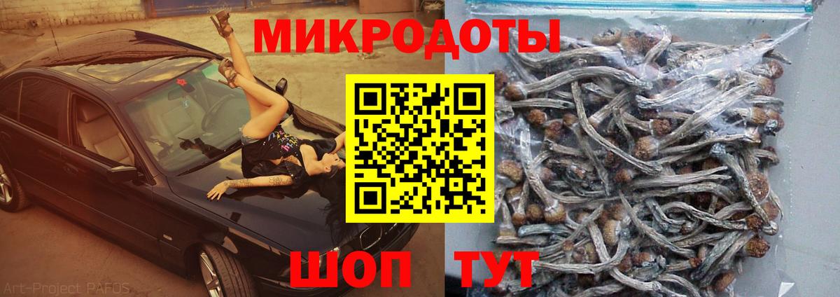 Чапаевск  Галлюциногенные грибы мухоморы  Вход с VPN 